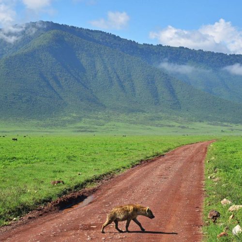 ngorongoro-crater-1